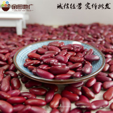 China Fabricante Atacado preço do feijão vermelho escuro